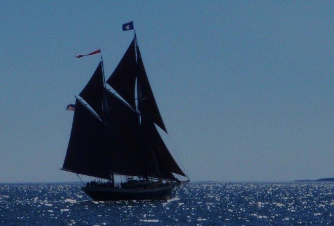 Maine Schooner under full sail © David and Heather Churcher